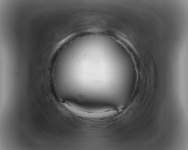 X0000084011304200703091918