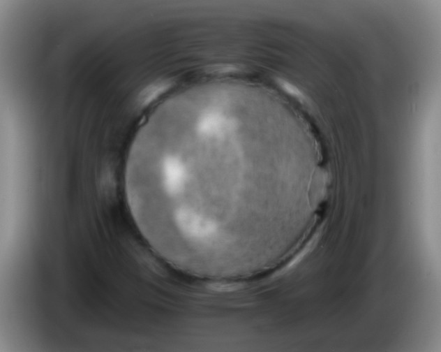 X0000084011305200703091918