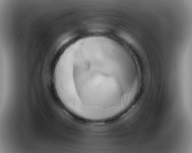 X0000084011306200703091918