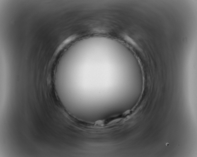 X0000084011307200703091918