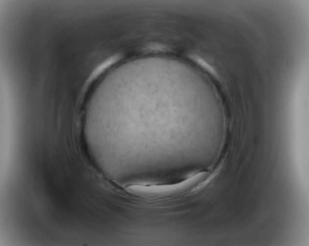 X0000084011309200703091918