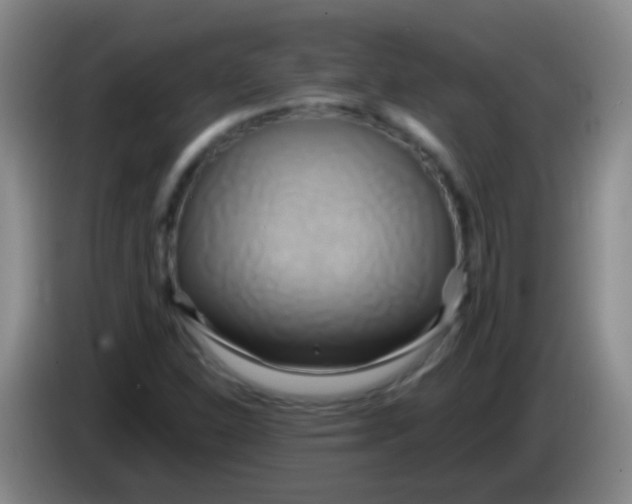 X0000084011310200703091918