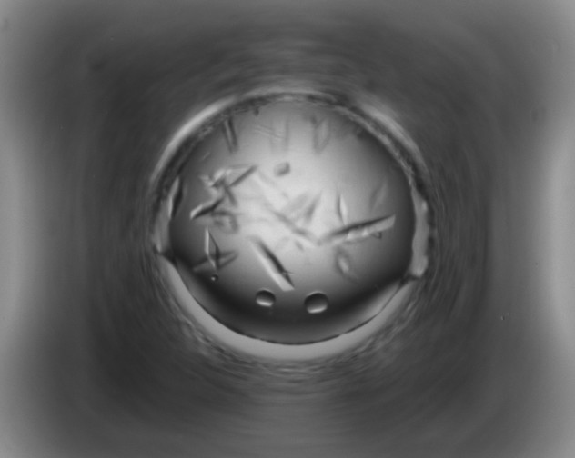 X0000084011312200703091918