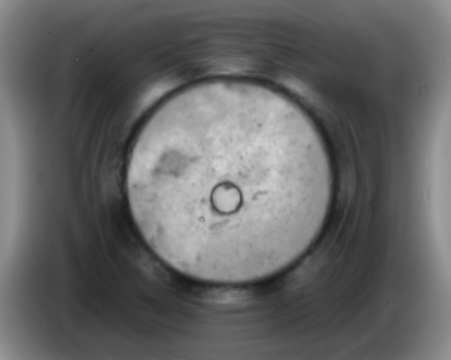 X0000084011314200703091918