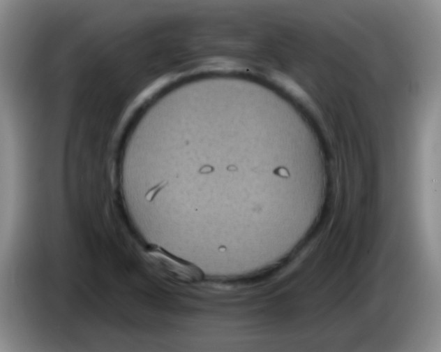 X0000084011318200703091918