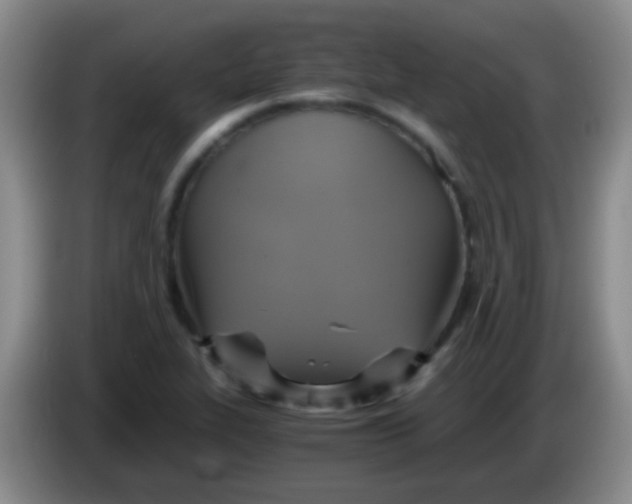 X0000084011319200703091918