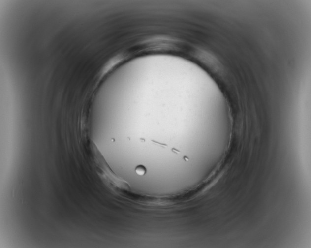 X0000084011321200703091918