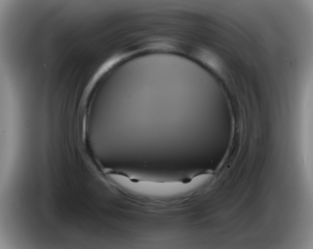 X0000084011323200703091918