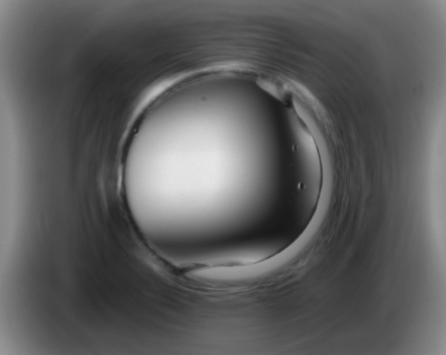 X0000084011324200703091918