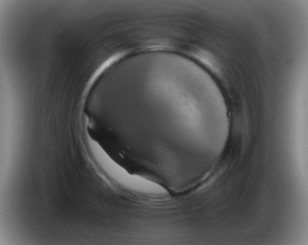 X0000084011325200703091918