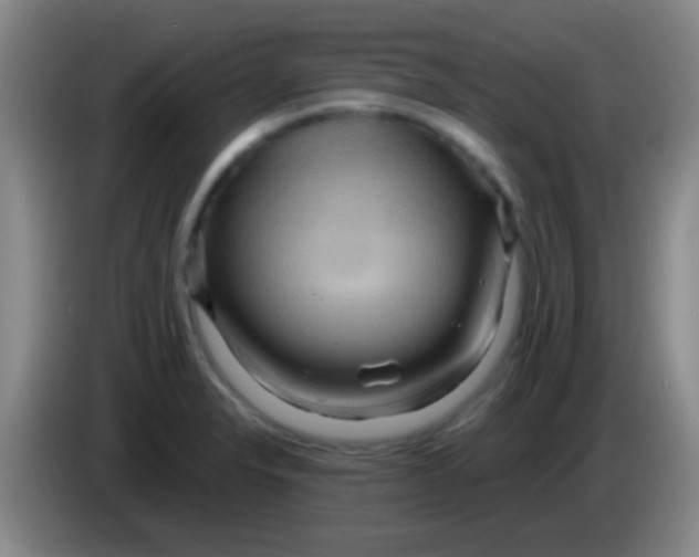 X0000084011326200703091918