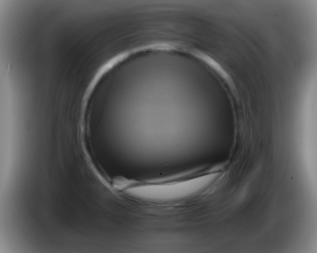 X0000084011327200703091919