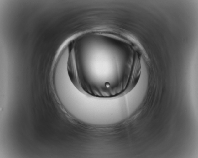 X0000084011328200703091919