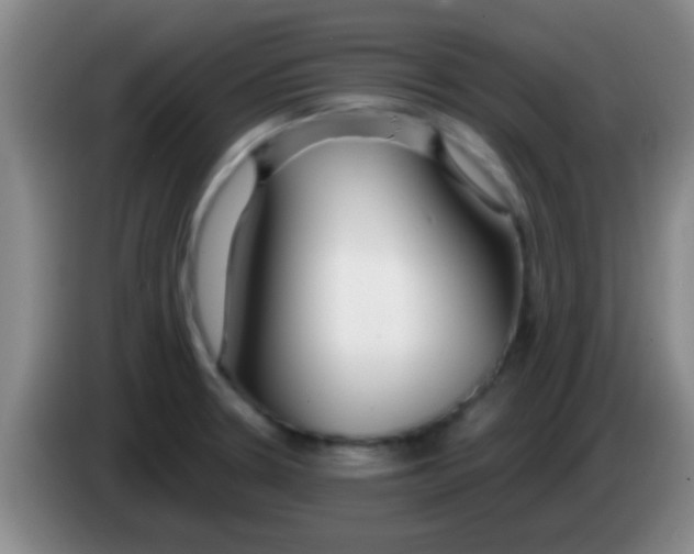 X0000084011330200703091919