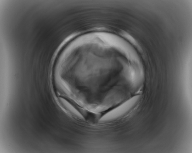 X0000084011331200703091919