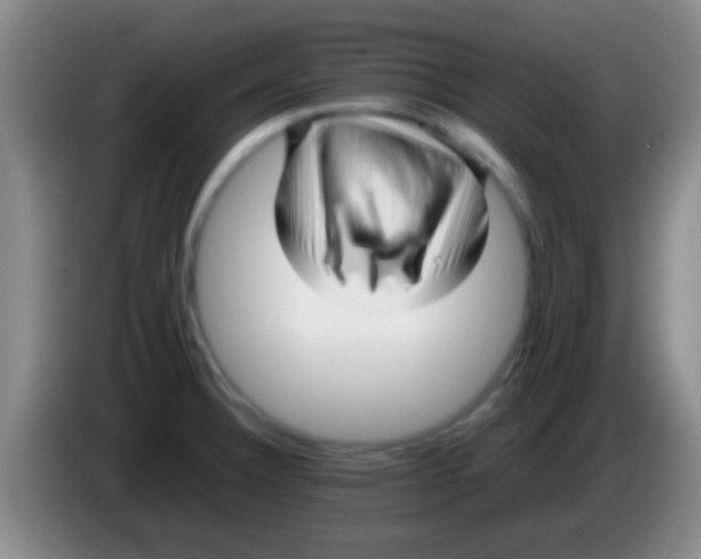 X0000084011332200703091919