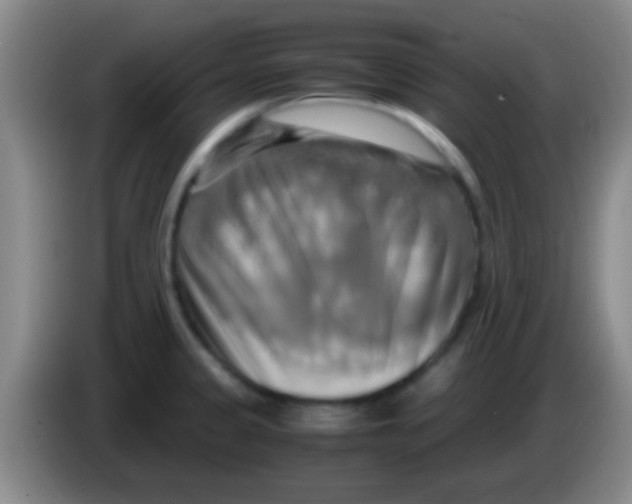 X0000084011333200703091919