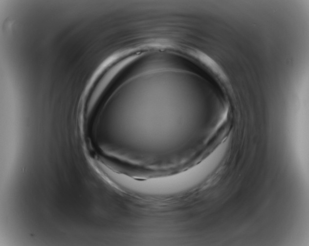 X0000084011334200703091919