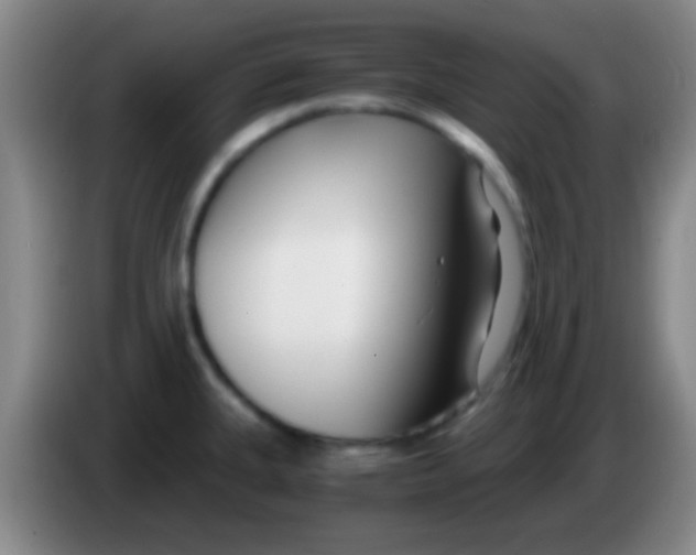 X0000084011335200703091919