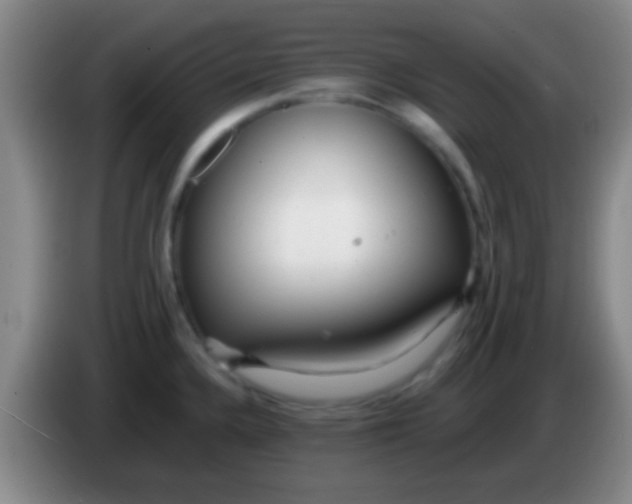 X0000084011336200703091919