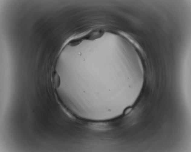 X0000084011337200703091919