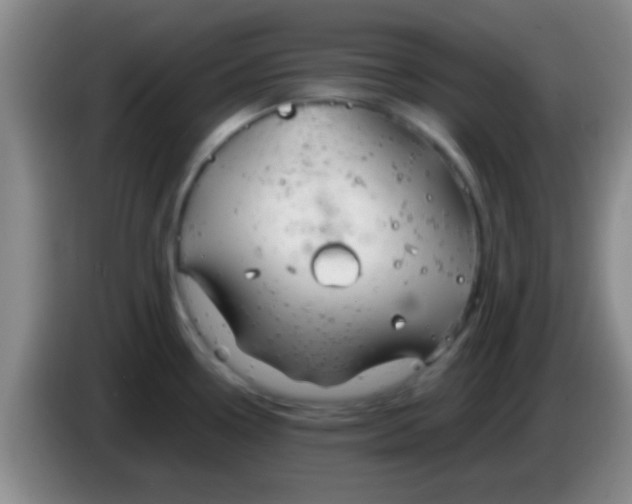 X0000084011338200703091919