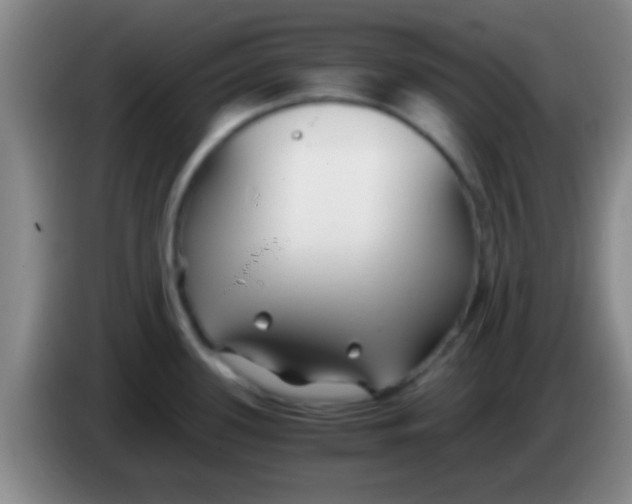 X0000084011339200703091919