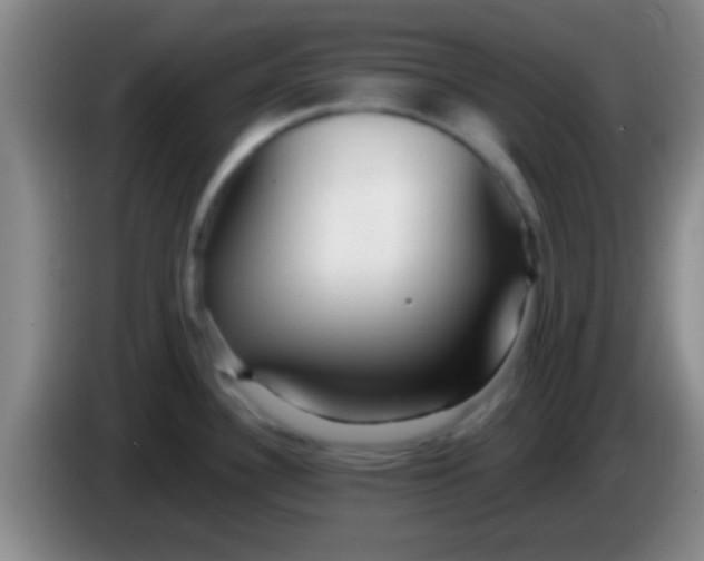 X0000084011340200703091919