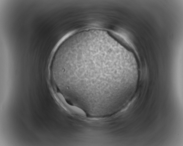 X0000084011341200703091919