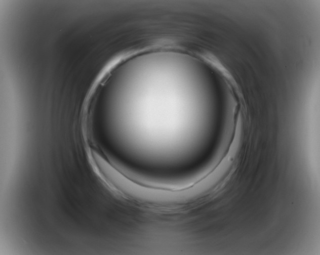 X0000084011342200703091919