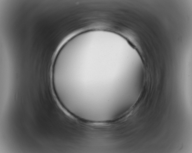 X0000084011343200703091919