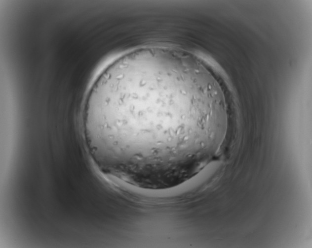 X0000084011344200703091919