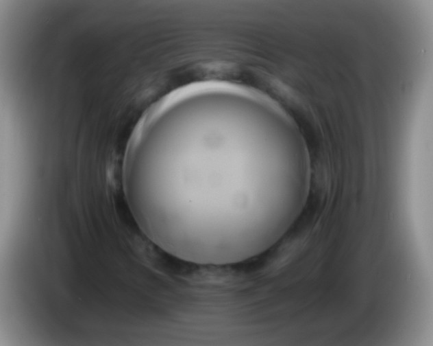 X0000084011346200703091918