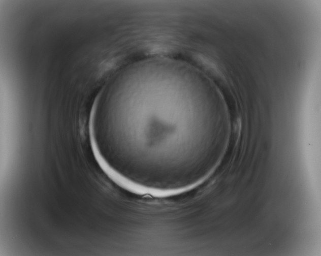 X0000084011348200703091918