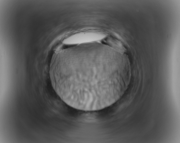 X0000084011351200703091918