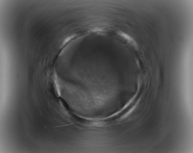 X0000084011353200703091918