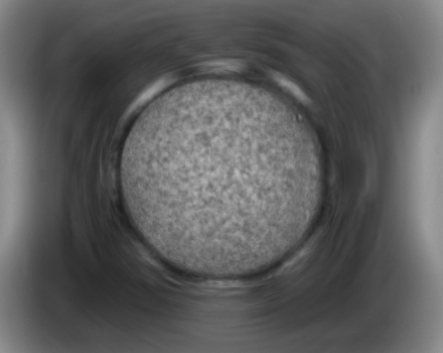 X0000084011354200703091918