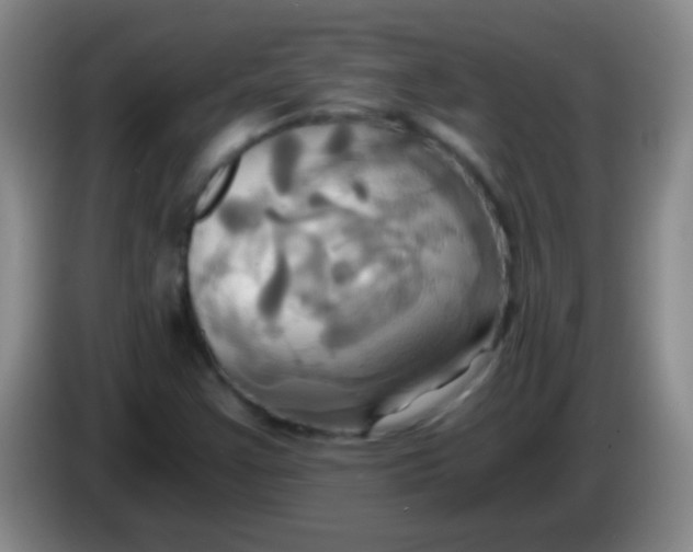 X0000084011355200703091918