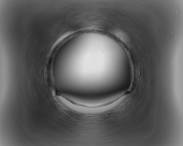 X0000084011356200703091918