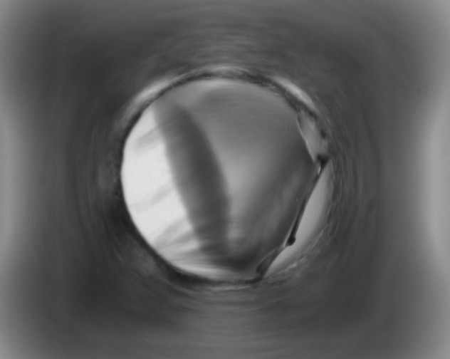 X0000084011359200703091918