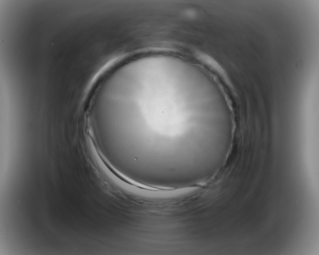 X0000084011360200703091918