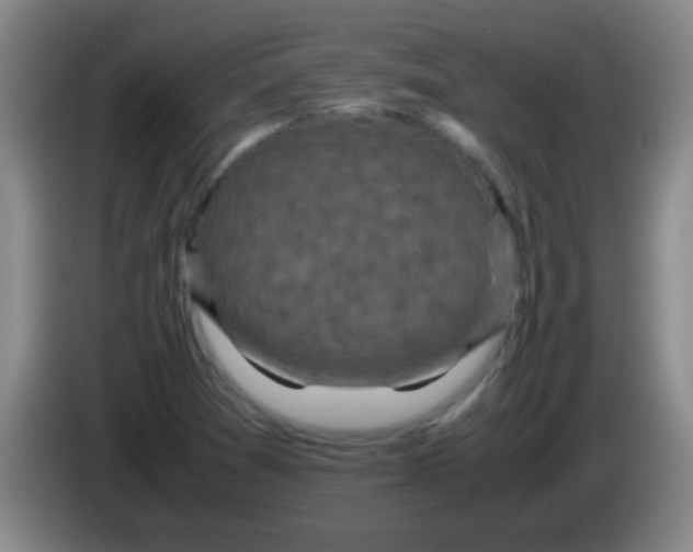 X0000084011361200703091918