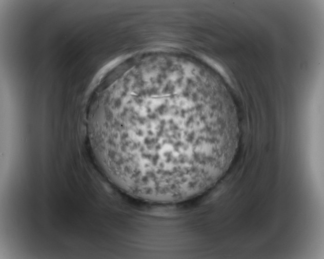 X0000084011363200703091918