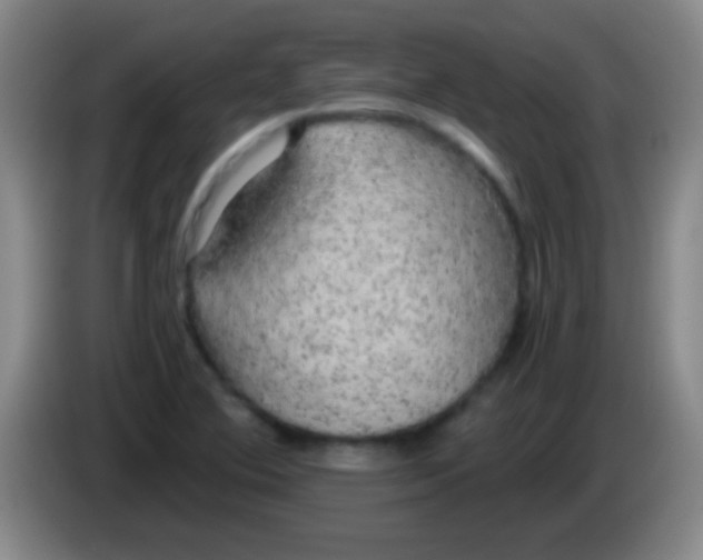 X0000084011364200703091918