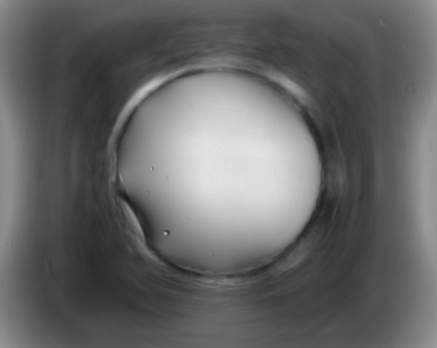 X0000084011366200703091918