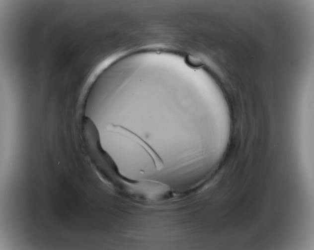 X0000084011367200703091918