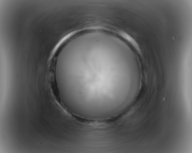 X0000084011368200703091918