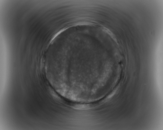 X0000084011369200703091918