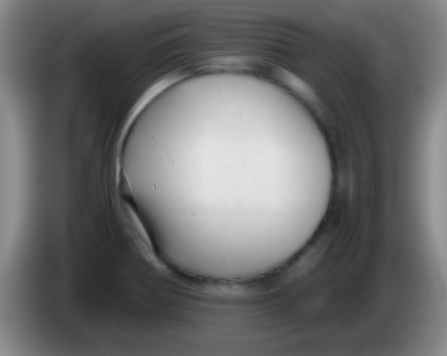 X0000084011370200703091918