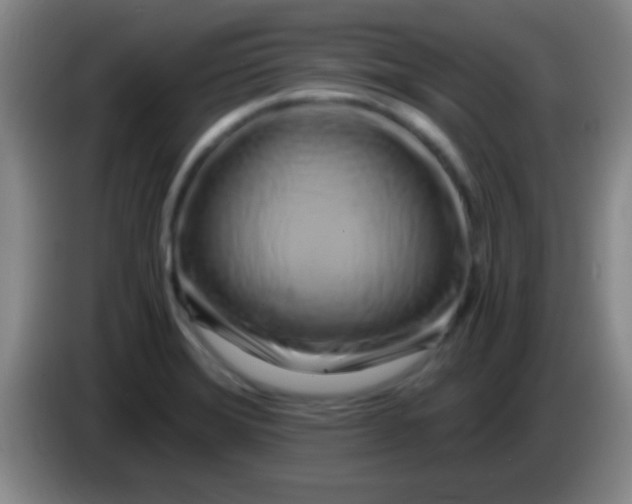 X0000084011372200703091918